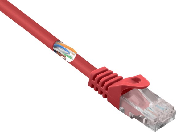 CONRAD Renkforce RF-5043990 RJ45 Netzwerkkabel, Patchkabel CAT 5e U/UTP 0.15 m Rot mit Rastnasenschu