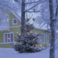 KONSTSMIDE Weihnachtsbaum-Beleuchtung Außen...