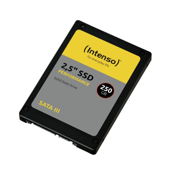 INTENSO Performance 250GB