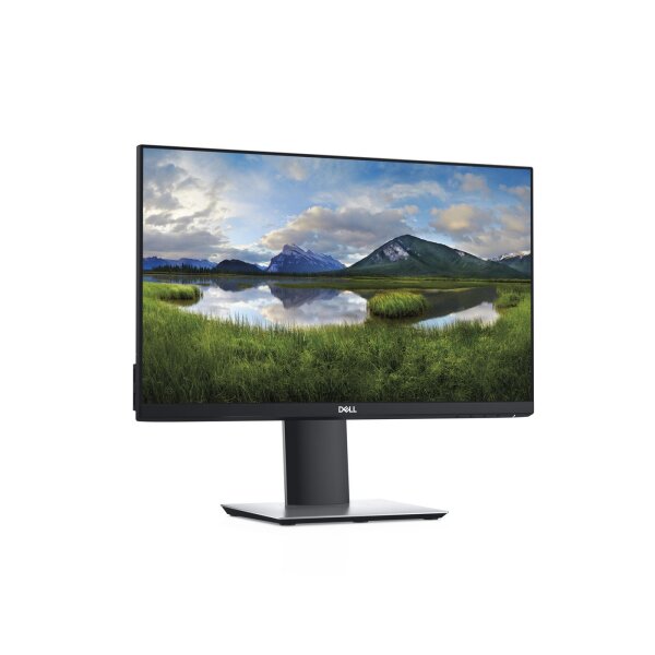 DELL P2219H 54,6cm (21,5"")