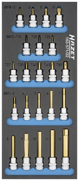 HAZET 163-571/22 163-571/22 Steckschlüsseleinsatz-Set 3/8"" (10 mm)