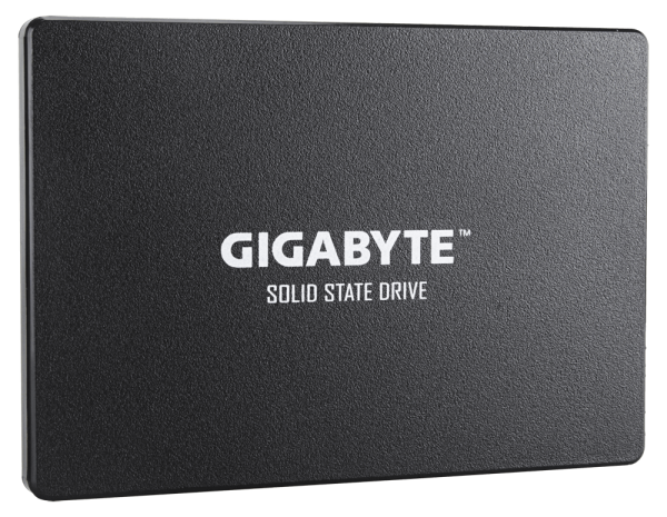 GIGABYTE GP-GSTFS31256GTND 256GB