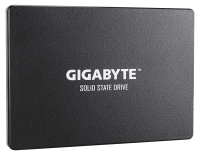 GIGABYTE GP-GSTFS31256GTND 256GB