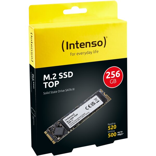 INTENSO Top Performance 256GB