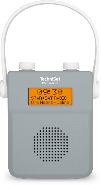 TECHNISAT DigitRadio 30 grau/weiß