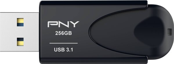 PNY Attache 4 3.1 256GB