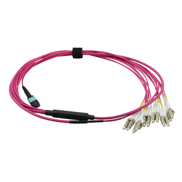 VALUE MPO-Fanout Kabel OM4 MPO/12xLC 2m (21.99.1100)