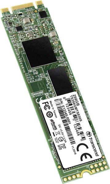 TRANSCEND TS256GMTS830S 256GB