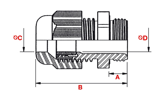 PLICA Kabelverschraubung M KV M12 PA 6 12 Polyamid 935344012