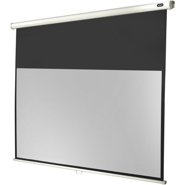 CELEXON Leinwand Rollo Economy 200 x 113 cm