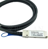 BLUELAN Kompatibles Extreme Networks 10410 QSFP28 Direct...