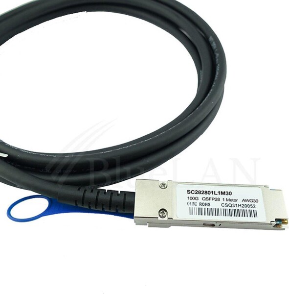 BLUELAN Kompatibles Extreme Networks 10411 BlueLAN SC282801L1M30 QSFP28 Direct Attach Kabel, 100GBAS