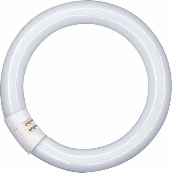 Osram L22W 865C G10q 29mm D:216mm FLH1 Ringform LLp LUMILUX Inter B,27kWh/1000