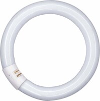 Osram L22W 865C G10q 29mm D:216mm FLH1 Ringform LLp...